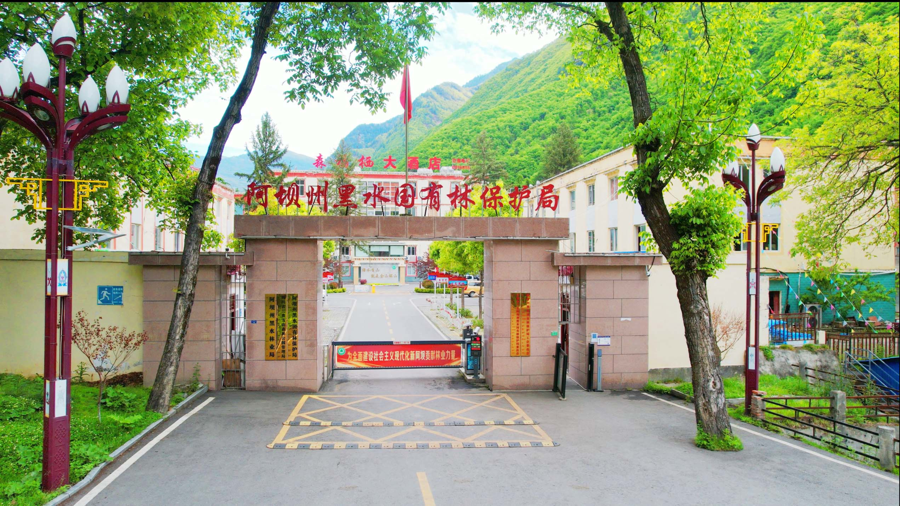 
											
											
												黑林局供图
											
											