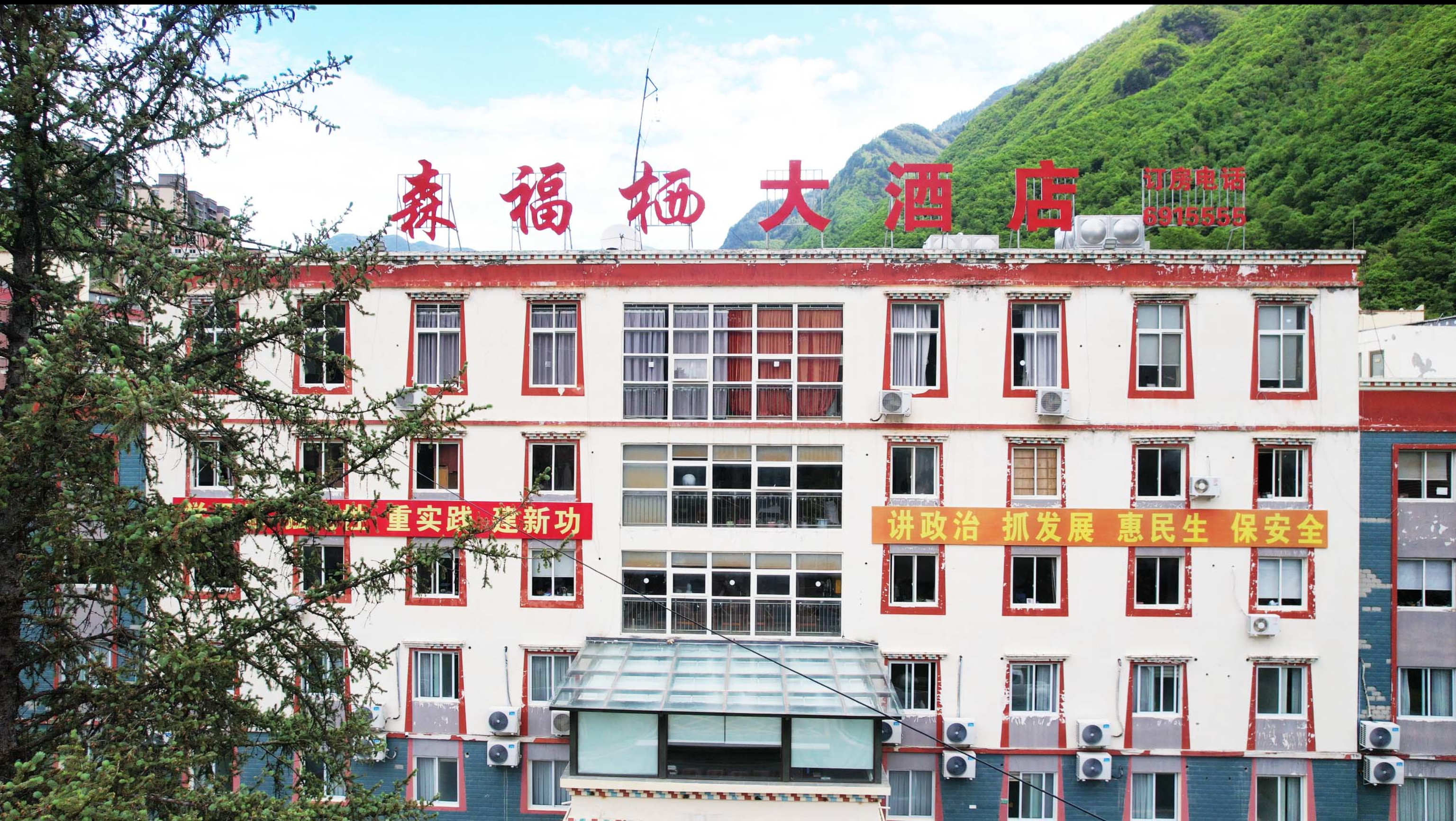 
											
											
												黑林局供图
											
											